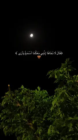 #قران_كريم ‏﴿قَالَ لَا تَخَافَا إِنَّنِي مَعَكُمَا أَسْمَعُ وَأَرَى ٰ﴾.🤎