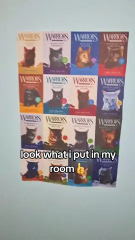I need to turn my room into a fully warriors themed room 😼 #fandom #hehsosigma #tiktokrizzparty #pebbleheartwarriors #foryou #skibidipebbleheart #trendingvideo #trending #viral #trend #fypage #fyp #warriorcats #warriors #meme #funny #room #bedroom #cool 