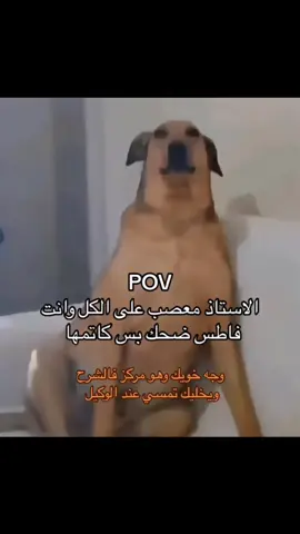 #اكسبلور #fypシ゚ #ابوثانوس #ميمز #foryoupage 