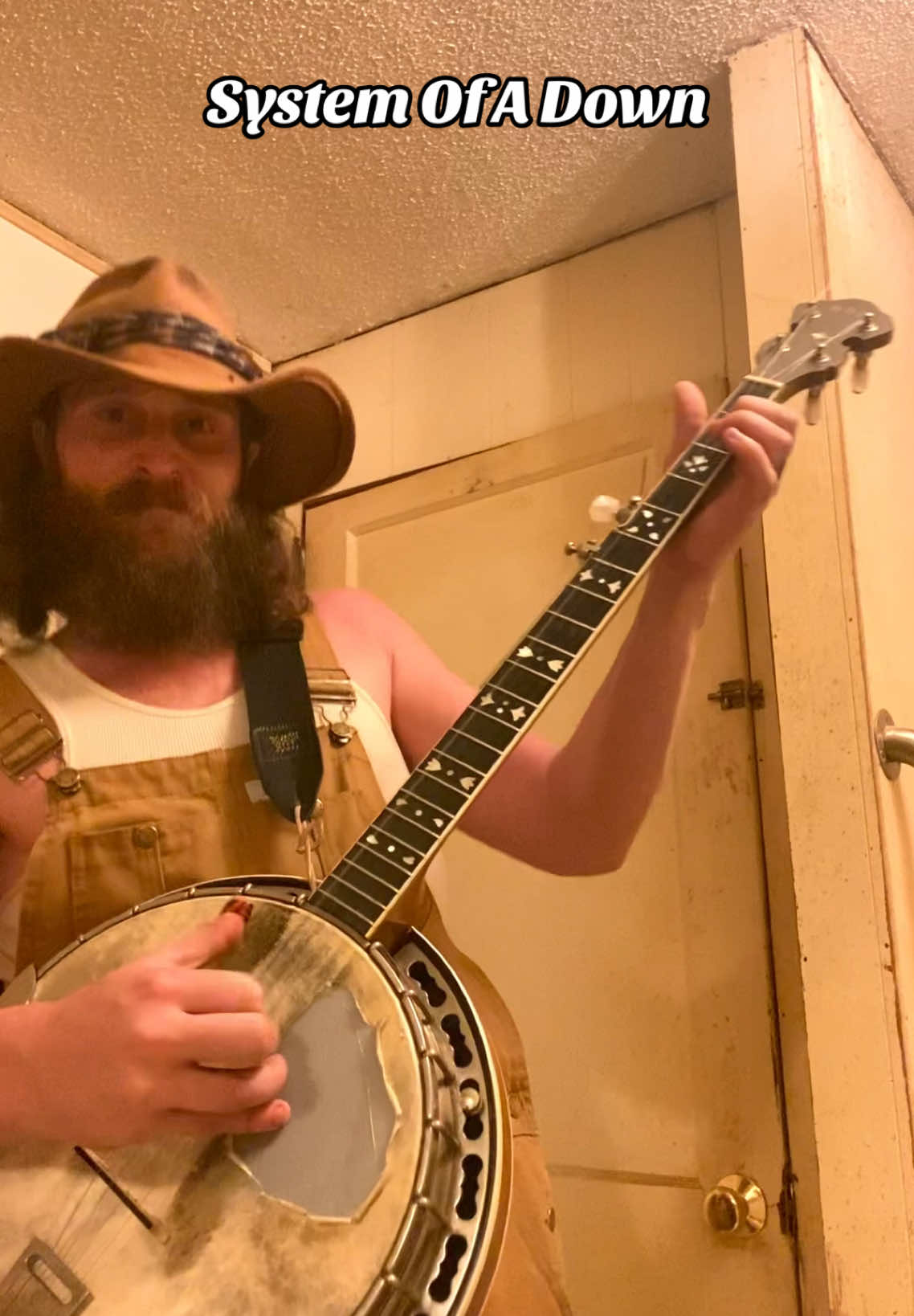 System of a Down - Aerials Hillbilly #banjosandbeer #heavymetal #soad #aerial #metalmusic #backwood #fyp #foryou #hillbilly #banjo #deathmetal #hardcore #punkrock #metalhead #foryoupage #systemofadown #viralvideo 