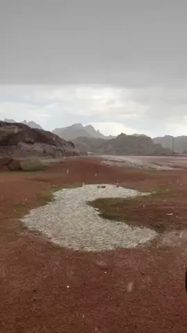 مجنون في حائل #حايل #اكسبلور #اكسبلورexplore #حايلندا #الشعب_الصيني_ماله_حل😂😂 #حب 