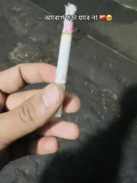 ~ আবেগে পড়া যাবে না 🥰💔