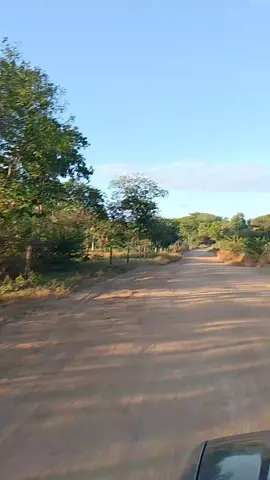 so com palavras eu não vou ti conquistar 