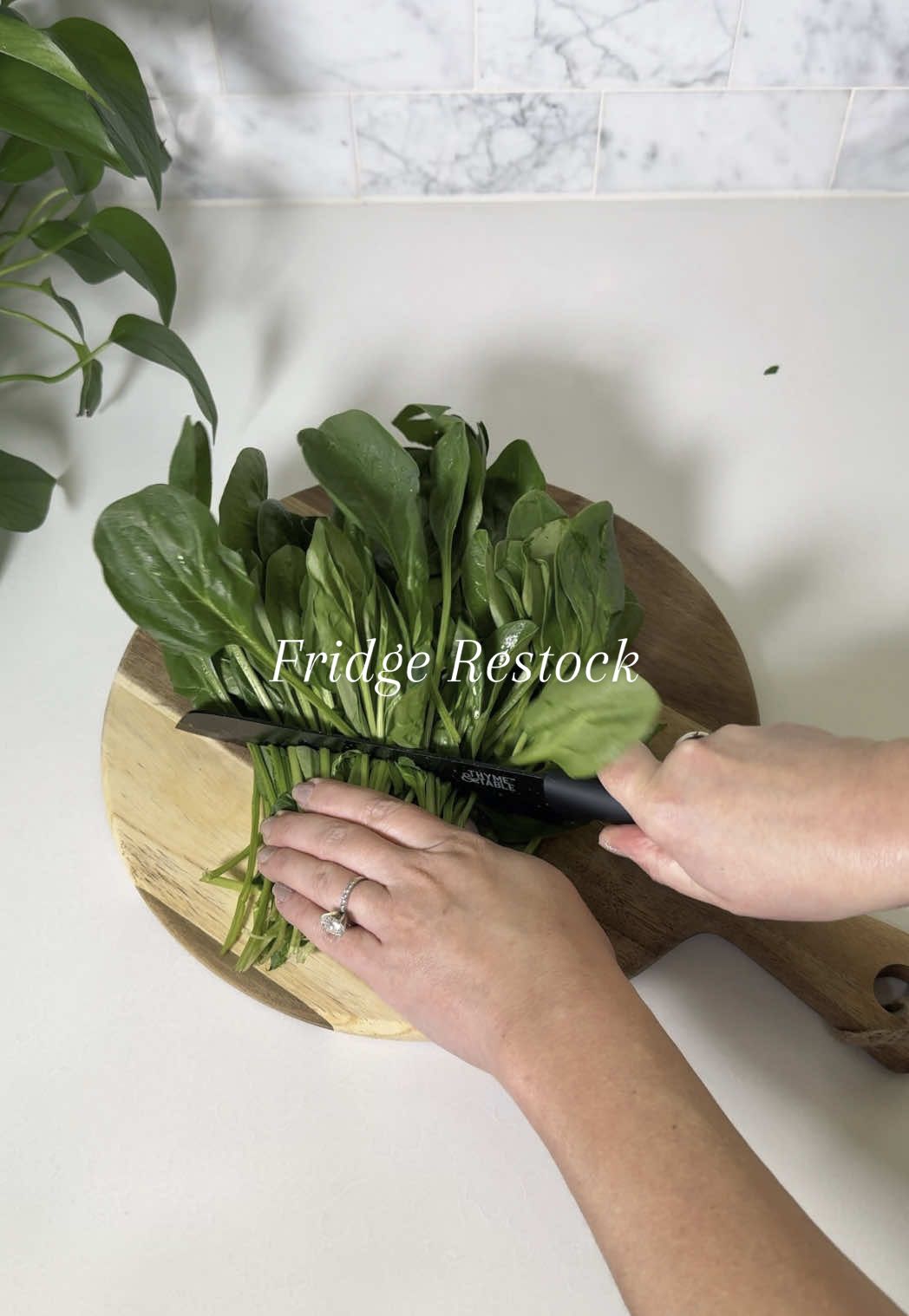 Restocking the fridge ✨🥬🧀 #asmr #restock #refill #fridgerestock #organizedhome #veggies #organize #satisfying #fyp 