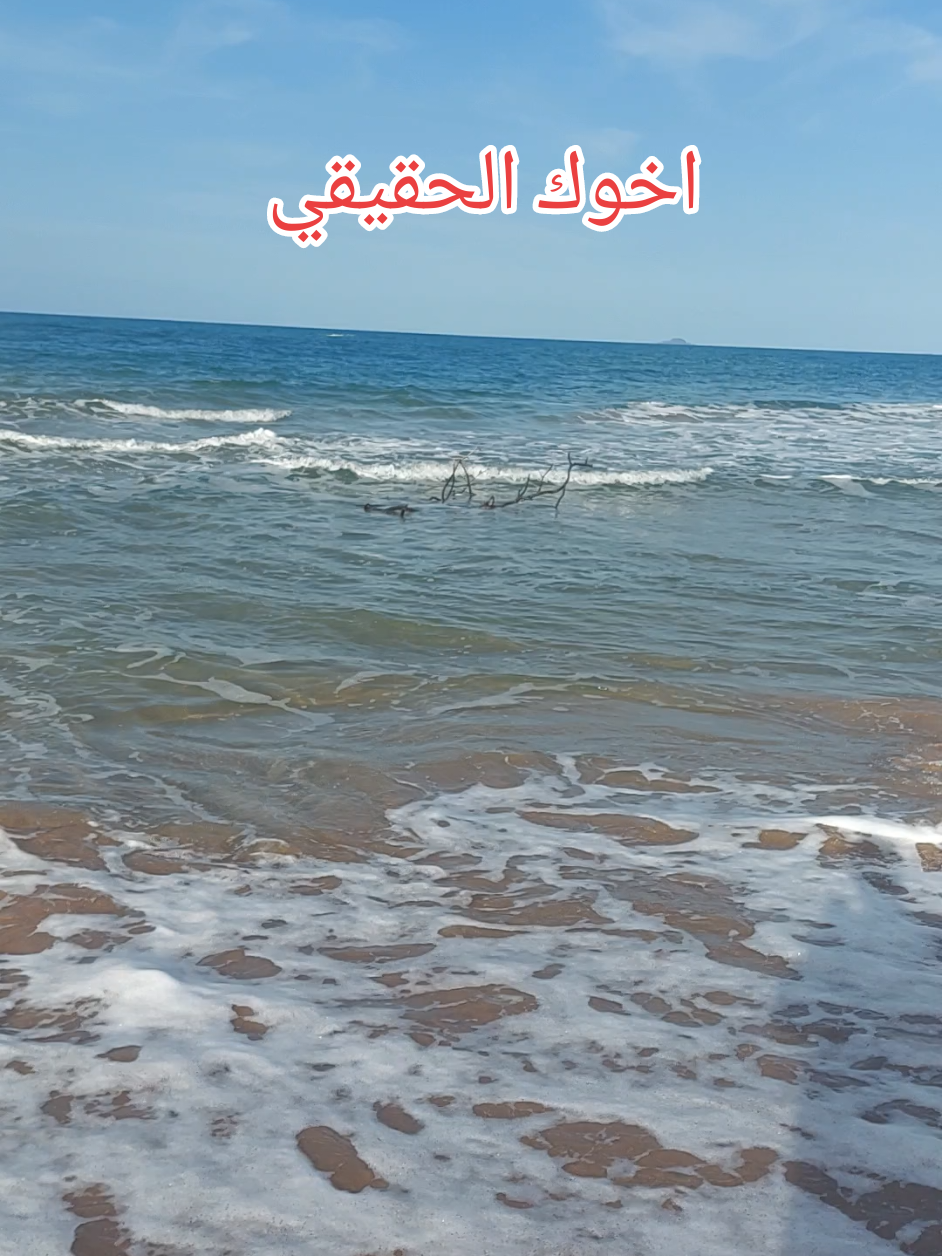 اخوك الحقيقي ماشي بالحالة المدنية#خوك #اخي #اقوال #fyp #fouryou #pourtoii #اكسبلور #العائلة #