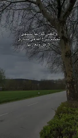 اللهم حكمنا بشرعك كما تحب وترضى