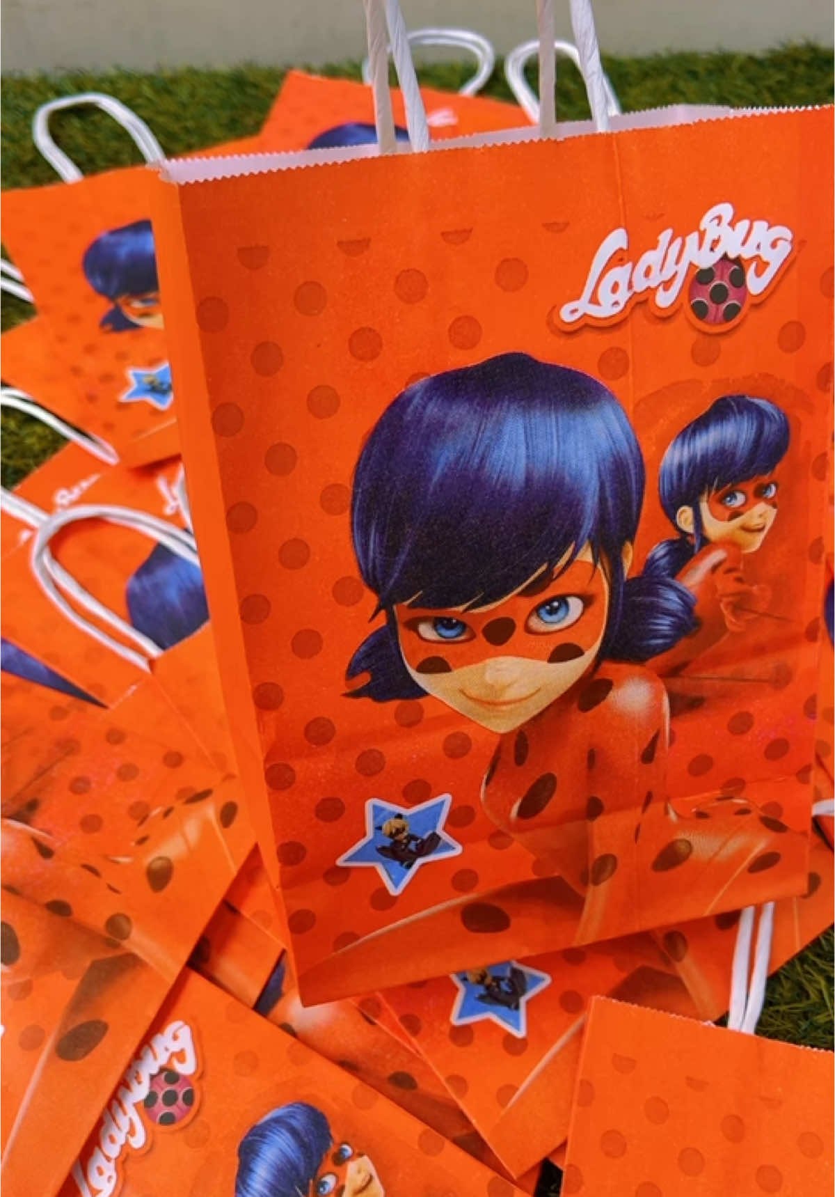 L’héroïne de nos princesses#miraculousladybugtiktok #sacs #anniversaire 