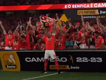 estamos tão perto... #benfica #campeao #edit #fyp #videoviral 