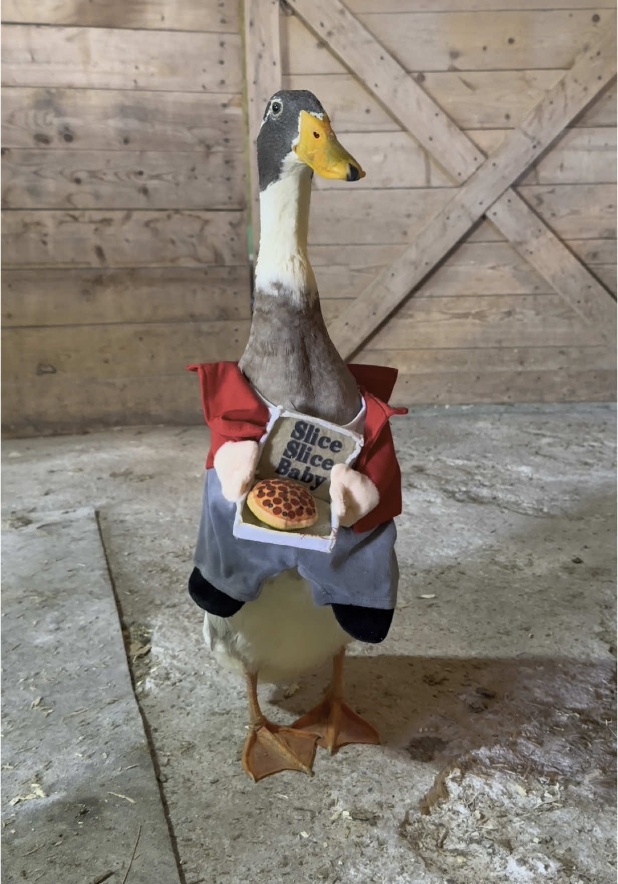 He was incredibly polite he earned that tip