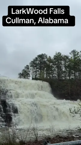 #cullmanalabama #larkwoodfalls #water #fun #fyppppppppppppppppppppppp #alabama #waterfalls #Love #adventure 