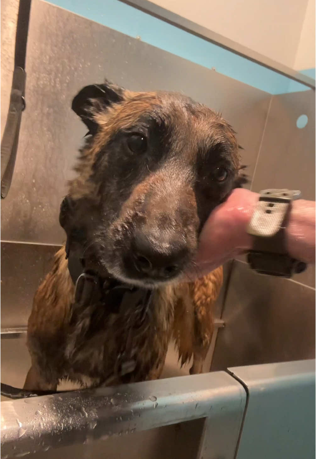 🛁 bath time isn’t so bad