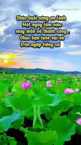 #CapCut #nhachaymoingay #Chúc Ngày thứ ba VẠN SỰ NHƯ Ý BÌNH AN ♥️🌷♥️