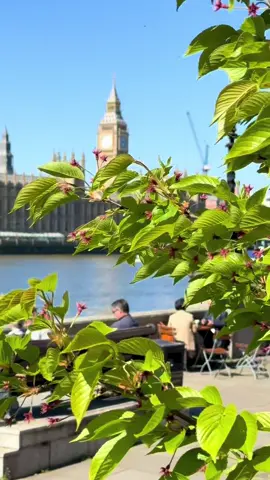 London🇬🇧😍#london #foryou #travel #londonlife #viral #uk #uktiktok #unitedkingdom #beautifulview #ItsAllLondon 