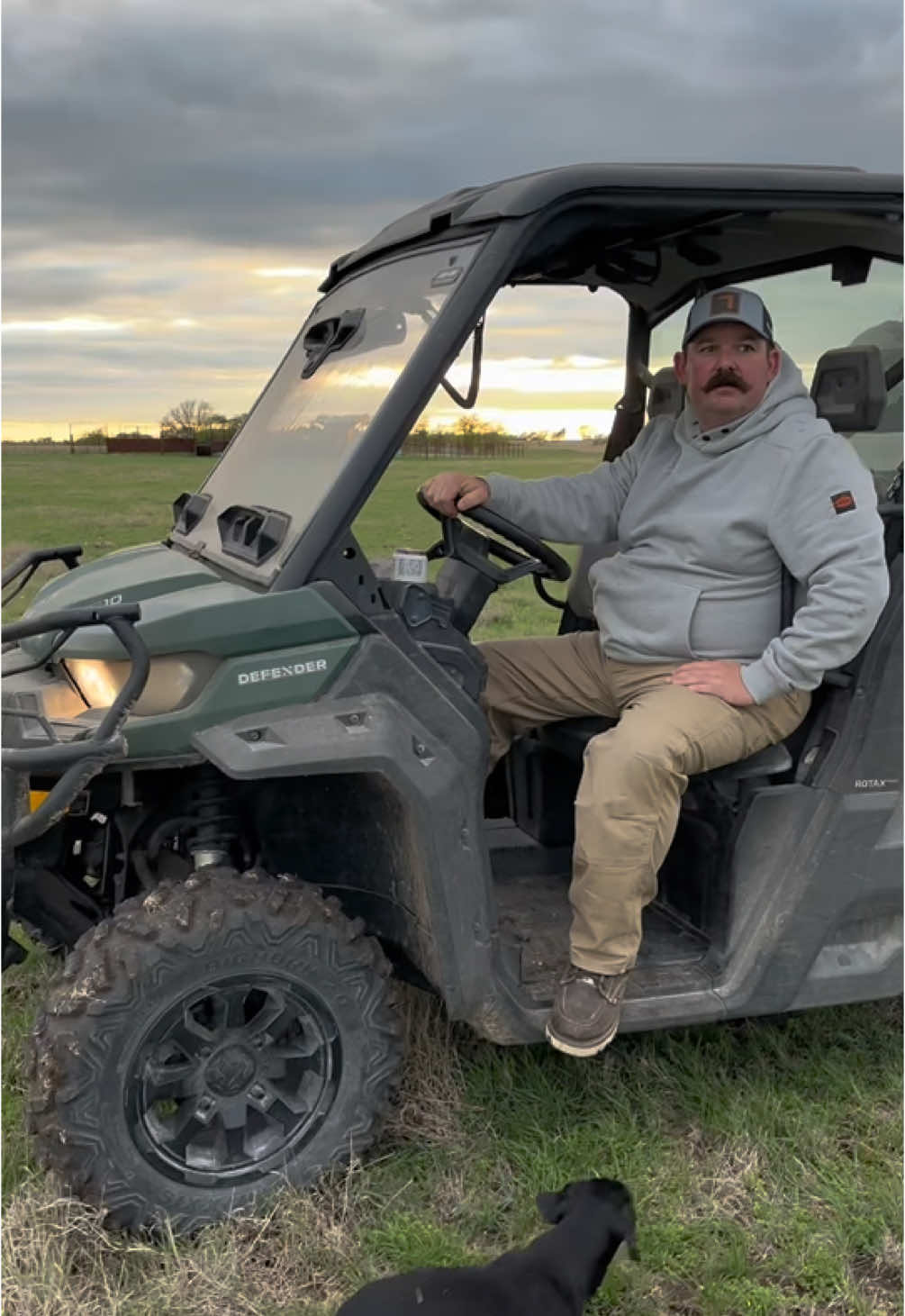 Feeding heifers at sunset @Can-Am Off-Road #canamoffroadlivin #Heifers #Cattle #Ranch #Ranching #KeepRanchin 
