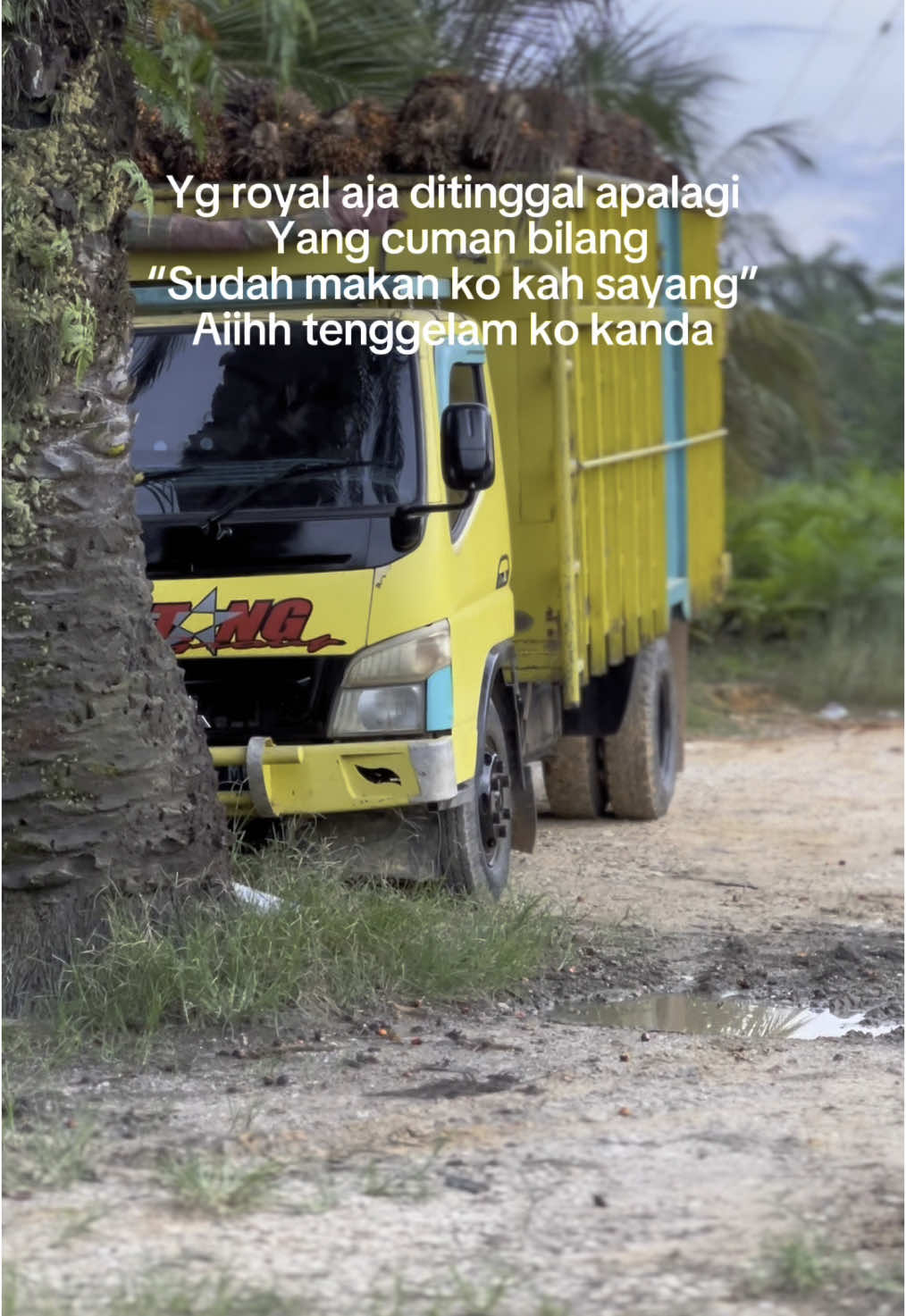 Supir tembak😂