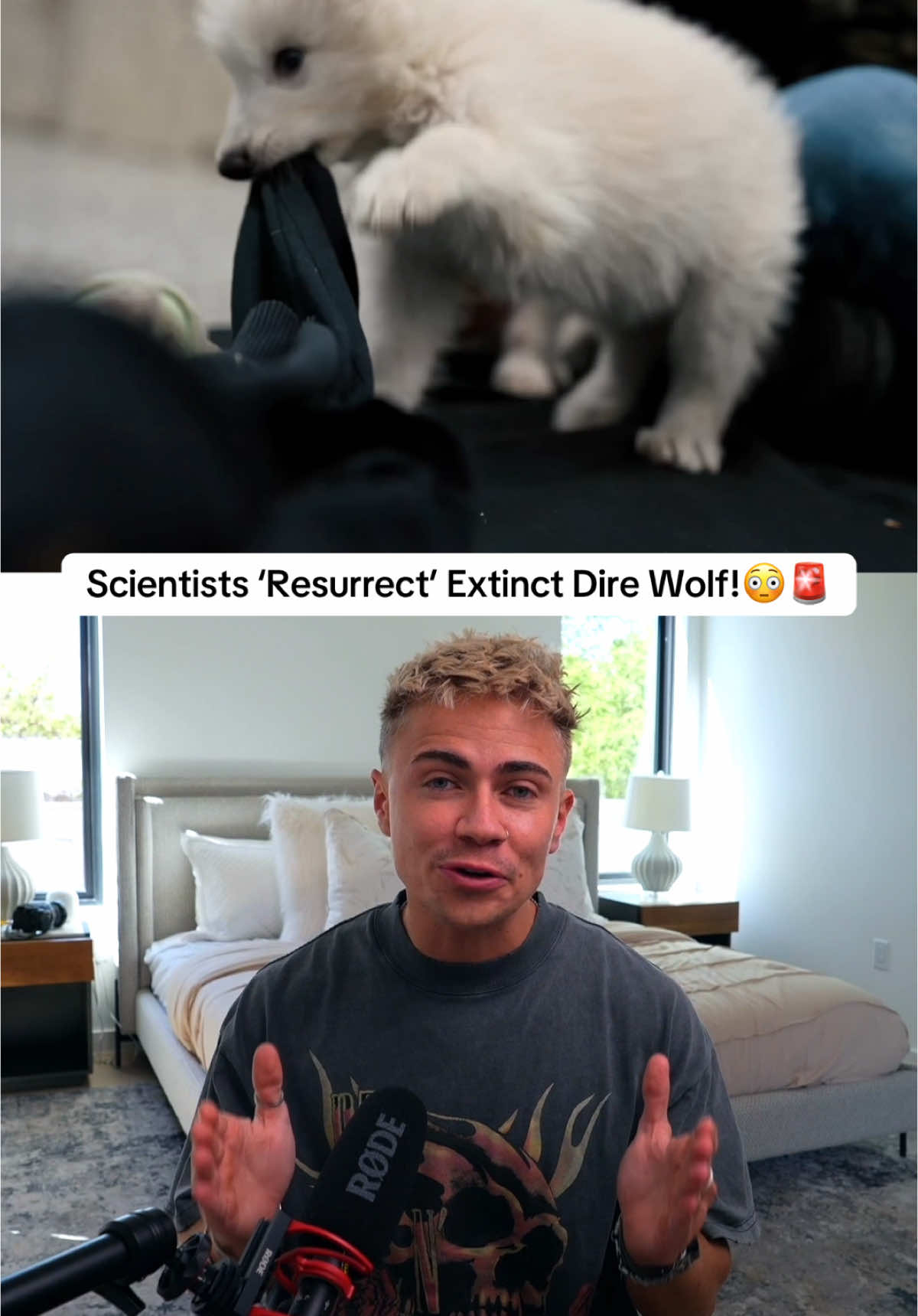 What do you guys think about this!?😳🤔