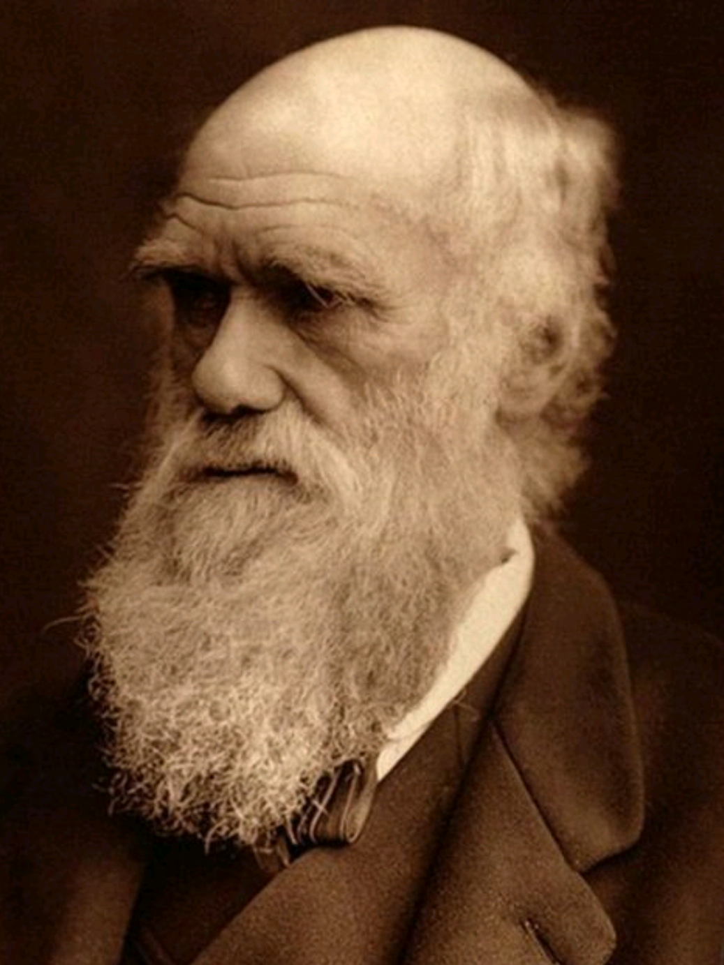 #داروين  #تشارلز_داروين  #أصل_الأنواع  #اصل_الانواع  #دوستويفسكي #دوستويفسكي📚 #ماركس  #كارل_ماركس #فلسفة #فلاسفة #صدريات #ملحد #الحاد #إلحاد  #darwin #charles_darwin #dostoevsky #marx #carl_marx #atheist #westminster_abbey