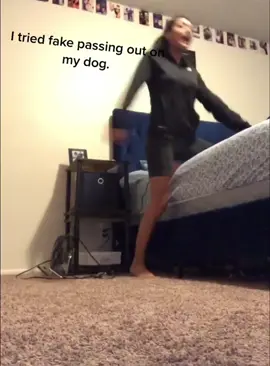 Pretend to faint and see how the dog reacts.#dog #dogsoftiktok #foryou #funnydog 