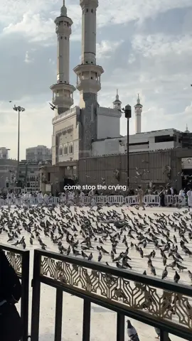 🕋🤍مَا شَاءَ ٱللَّٰهُ