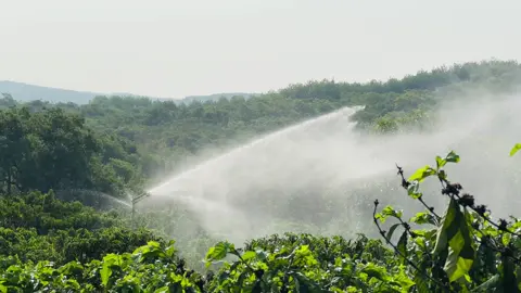 Bình phước đang mưa…. Hơi tốn dầu 😂 #bt42 #caphevietnam 