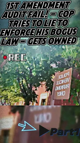 #audit #foryou #police #fyp 