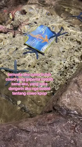 #quotes #JISUNG #jisung #kpop #fyp 