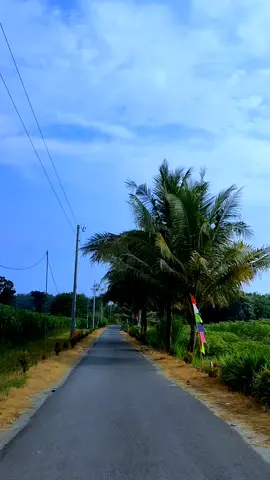 jalan menuju pantai mliwis #kebumen #pantaimliwiskebumen #wisatakebumen #kebumenkeren #fyp #liburan 