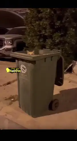 الخوف 😂
