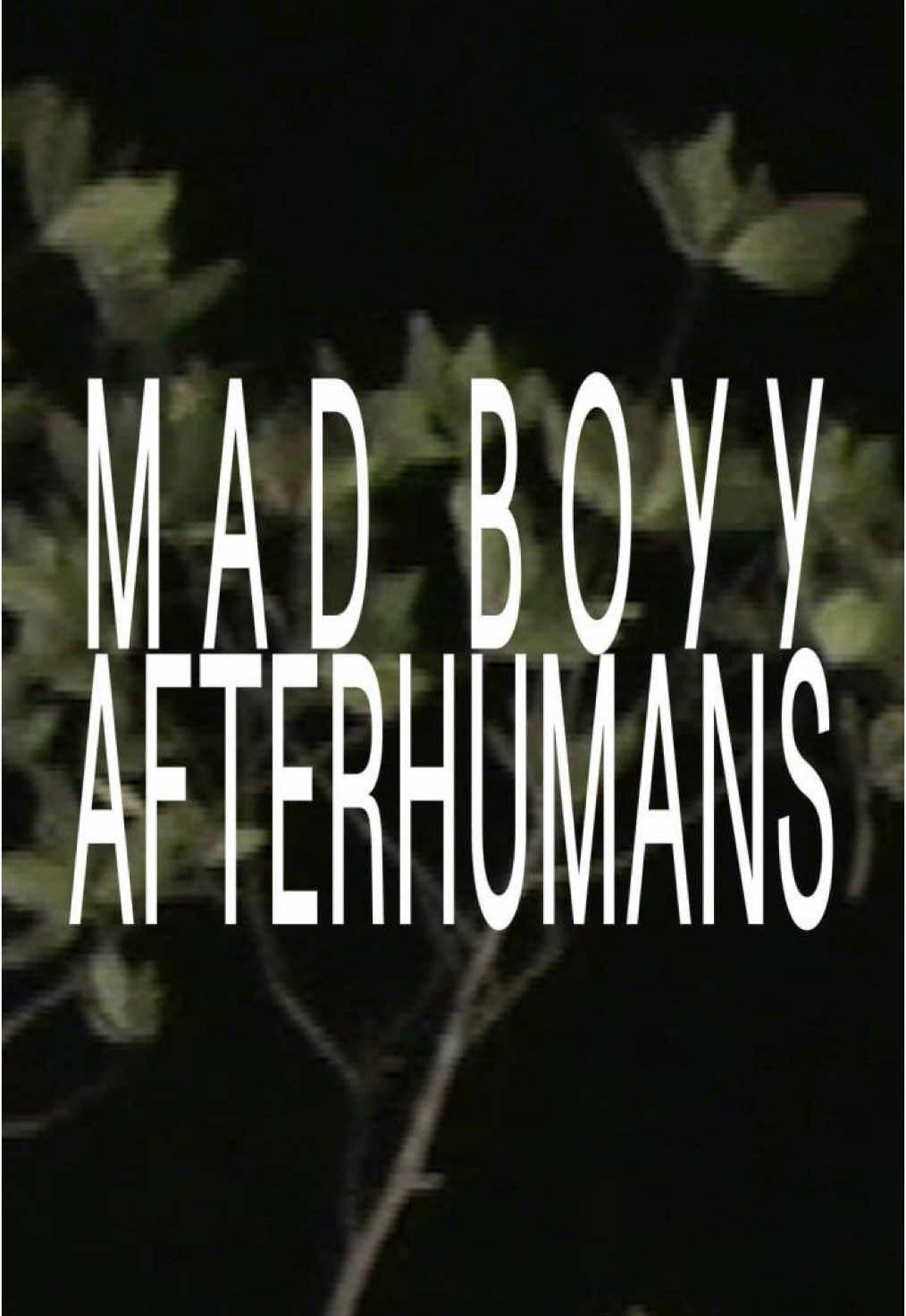 ⋆.˚ ₊ ⊹ ✧ ⋆˚ ⊹ ₊ ⋆ ₊ ⋆ •-• ⊹ ₊ ⋆˚  ⋆.˚koLiPĘĘ.wav⋆˚ algo de lo último q he hecho que me gustó mucho . . . . . #upcomingproducer #abletonlive #samples #producertok #producersoftiktok 