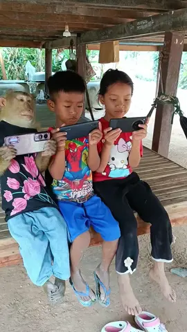 A Monkey Playing Game Challenge Until Tired Like This