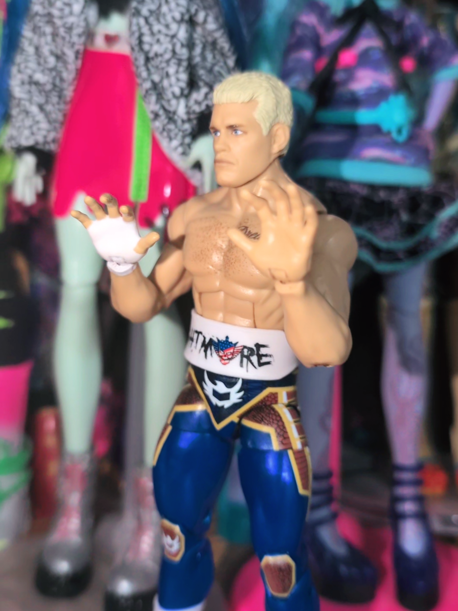 this tiktok is a joke btw #monsterhigh #monsterhighdolls #WWE #wweactionfigures 