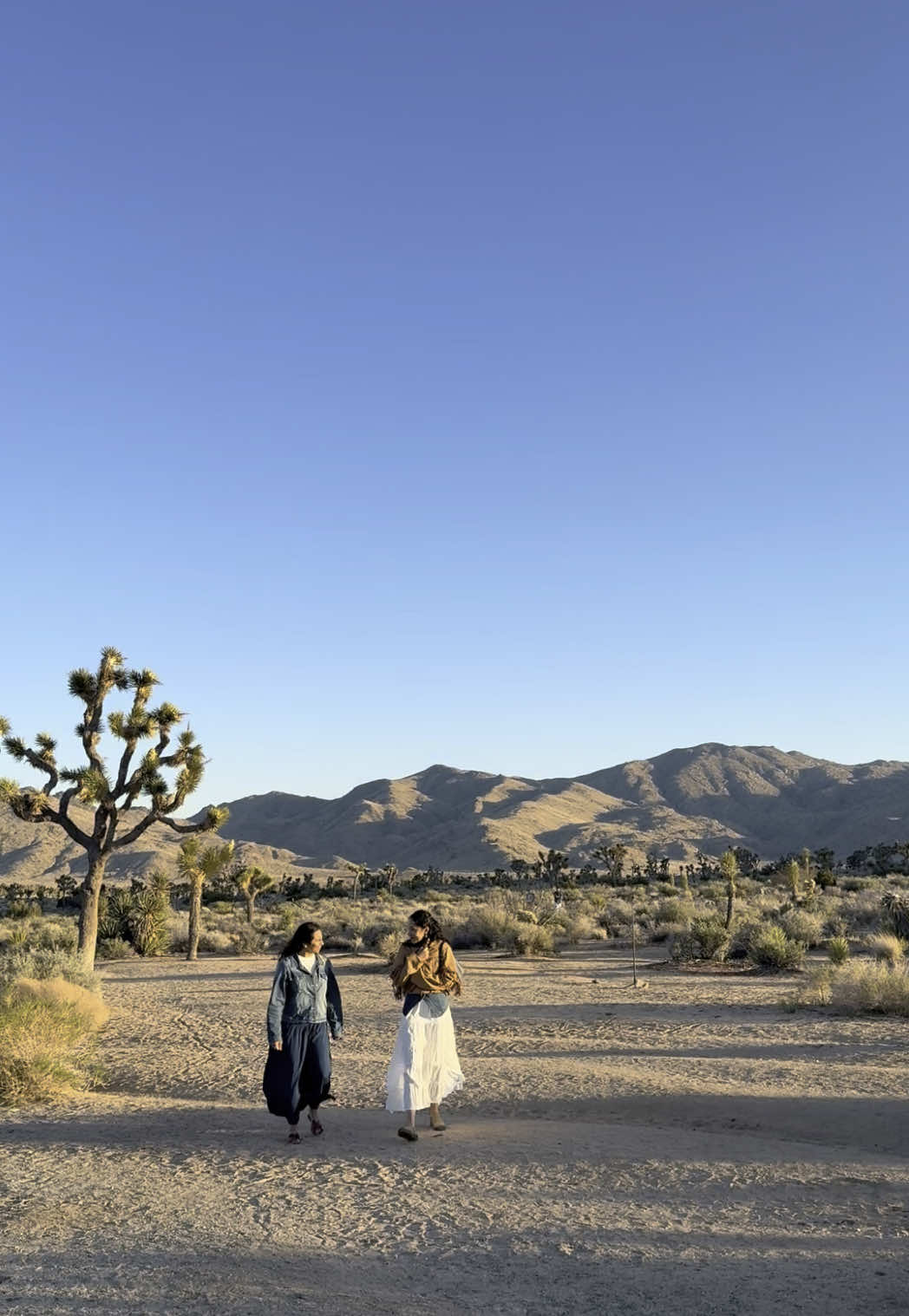 @Freespiritrida bach trip weekend in Palm Springs!! 🤠🏜️🌵🕺✨