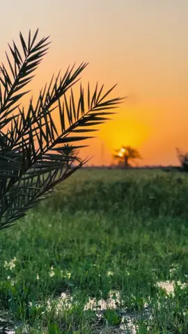 #جمال #الاريف #العراقي #تصويري #جواء_خيالية #عباراتكم_الفخمه📿📌 #عبارات_جميلة_وقويه😉🖤 #عبارات_جميلة🦋💙 #جواء_خيالية_مناظر_طبيعيه🥰😉❤ 