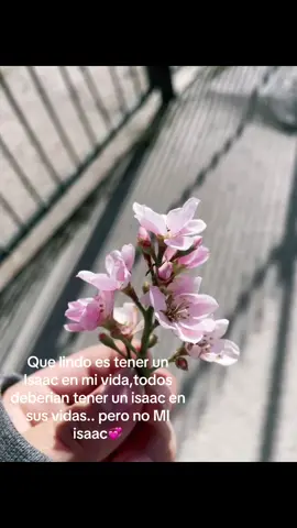 #isaac #🤍 #paratiiiiiiiiiiiiiiiiiiiiiiiiiiiiiii #Love #mimixisaac #amor #paratiiiiiiiiiiiiiiiiiiiiiiiiiiiiiii #paratiiiiiiiiiiiiiiiiiiiiiiiiiiiiiii #paratiiiiiiiiiiiiiiiiiiiiiiiiiiiiiii #paratiiiiiiiiiiiiiiiiiiiiiiiiiiiiiii #isaac #🤍 #🤍 #Love #Love #isaac #isaac #isaac #isaac #loveisaac♡ #isaac #isaac #paratiiiiiiiiiiiiiiiiiiiiiiiiiiiiiii #paratiiiiiiiiiiiiiiiiiiiiiiiiiiiiiii #paratiiiiiiiiiiiiiiiiiiiiiiiiiiiiiii @𝓜𝓲𝓻𝓲𝓼۶ৎ 