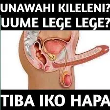 NGUVU ZA KIUME #Nguvu #nguvuzakiume #fouryou #foryoupage #zanzibar #dodoma #mombasa #rukwa #njombe #songwe #mbeya