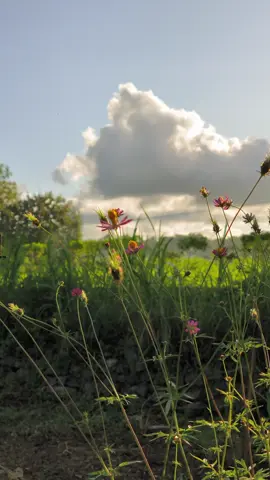 makin sering make 4k60fps emang bagus hasilnya #4k60fps #60fps #smooth #bismillahfyp #foryoupage #gunungkidul24jam #wonosari24jam #xiaomi13t #xiaomi #xybca #hd #4u #fyppppppppppppppppppppppp 