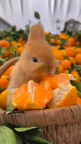 #сдобрымутром #доброеутро #лучшее #свежее #новинки #вторник #2025 #Love #top #super #goodmorning #like #motivation #tiktok 