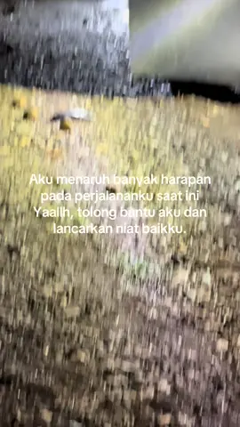 🤲🏻