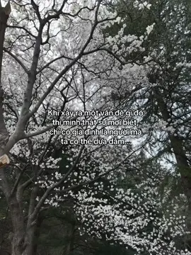 …#tamtrang #fyp #ddnxuhuong 