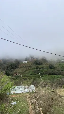 #تصويري📸 #اكسبلورexplore 