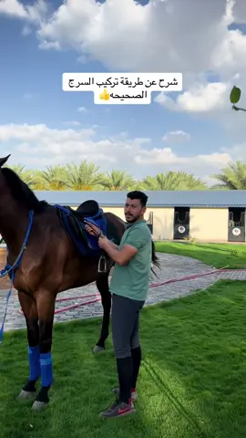 #اكسبلورexplore#المدينه_المنورة#نادي_روتانا#قفز_حواجز#خيل_وخياله🐎#ترند_تيك_توك#فارسات_سعوديات#فرسان#مطل_العزيزيه#فارسات_مكة#@محمود الهواري 