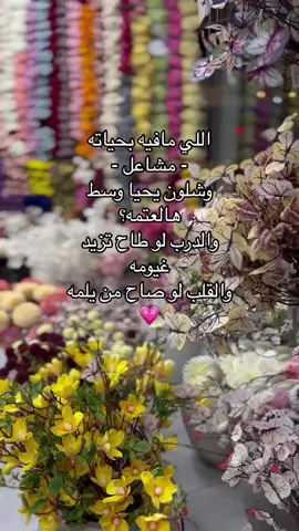 #اكسبلور #لايك #الشعب_الصيني_ماله_حل😂😂 #حركة_إكسبلور #مالي_خلق_احط_هاشتاقات🧢 #fyp #foryou #fypシ 
