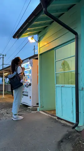 The longer I live in rural Japan, the more I realize I might never go back to city life. Do I ever get bored here? Definitely not.