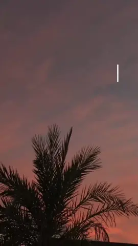 #CapCut #جلحة_الجعجاع #جغم_بس_🦅🦅🦅 #مصمم_فيديوهات🎬🎵❤👑 