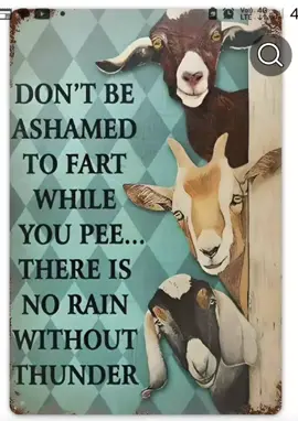 goats farting funny 