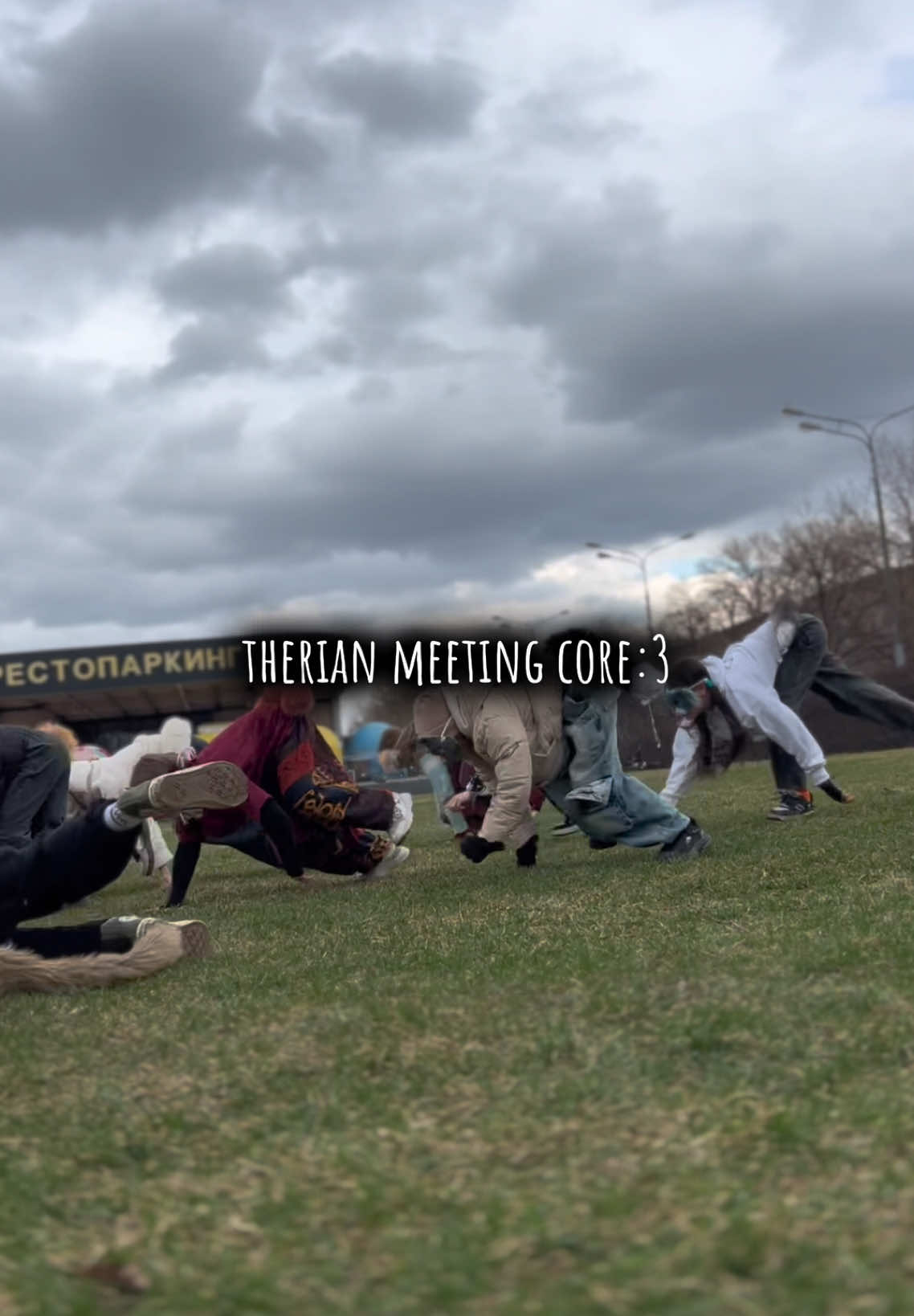 i wanted to make a vlog from the therian meeting, but I have too few videos((#therian #therians #theri #terian #quads #quadrobics #quadromasks #quadsjump #fup #quadrobicks #therianmasks 