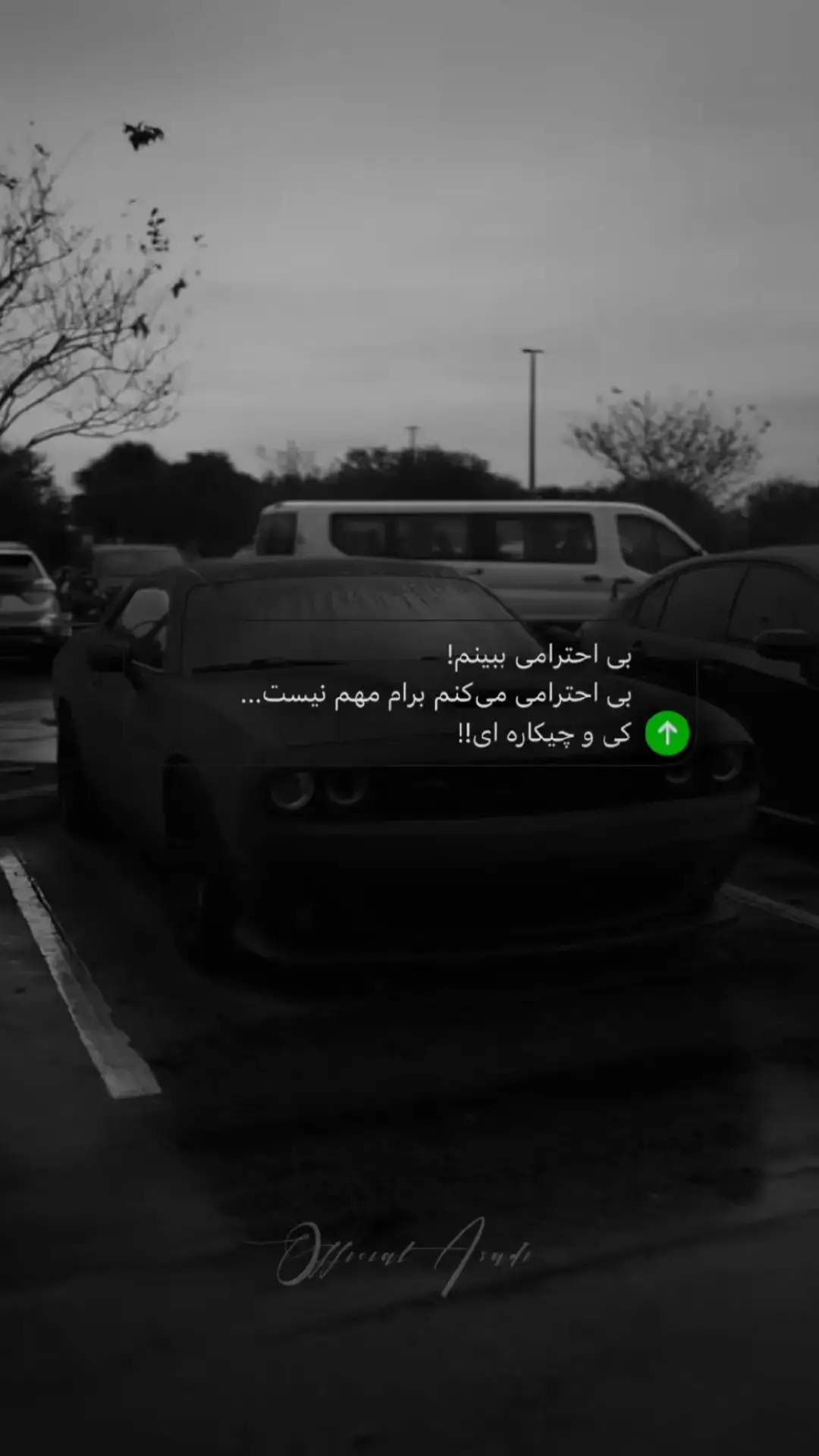 فهمیدی ✋🏻🦅  #غمگین #explore #پشتون_تاجیک_هزاره_ازبک_زنده_باد🇦🇫 #fyp 