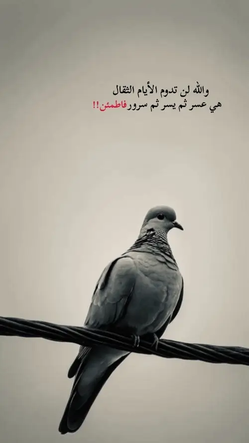 #عباراتكم_الفخمه📿📌 #اقتباسات خواطر تصميمي|||||قويه✋