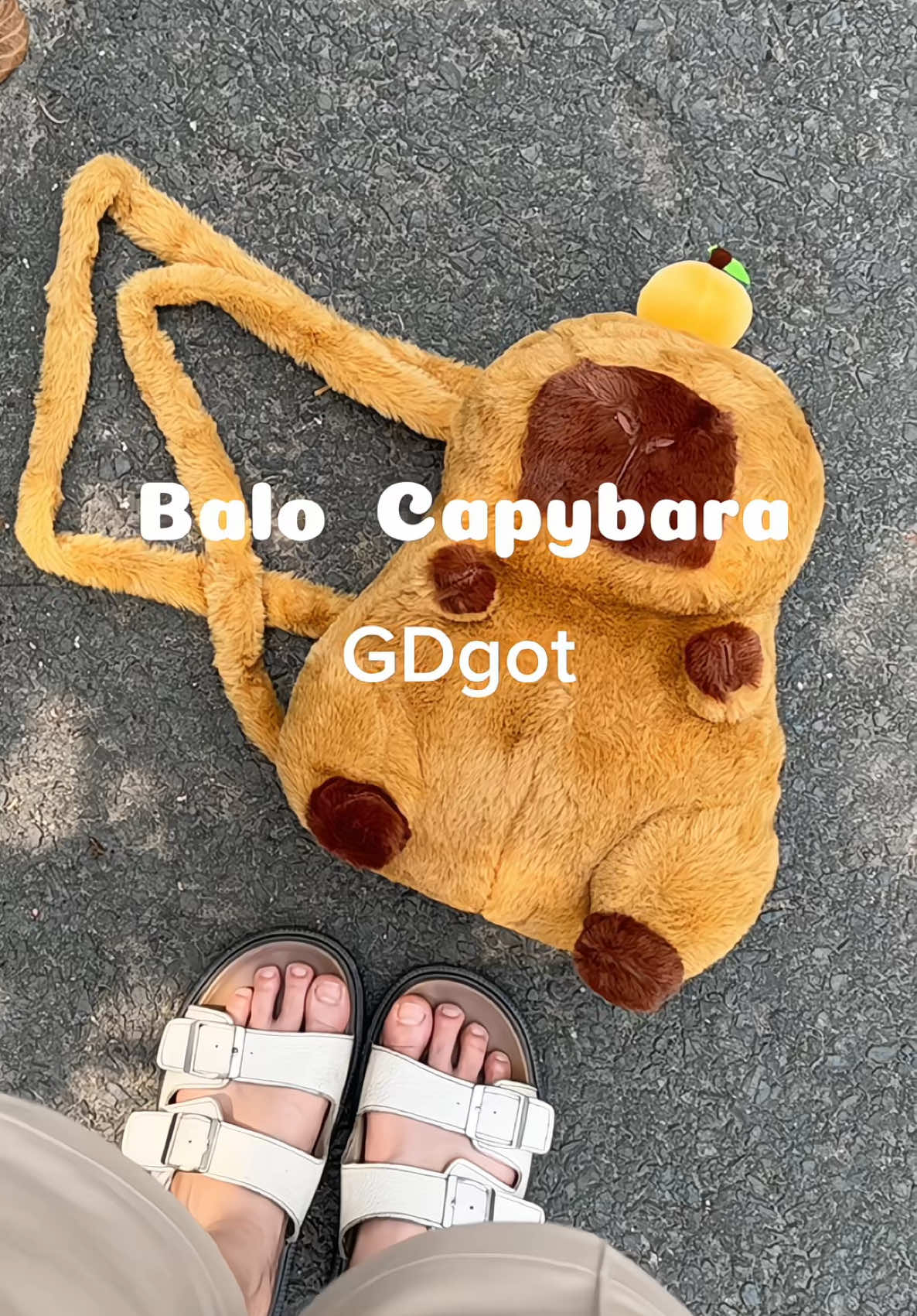 Balo đáng yêu siêu cấp 🫶 #balocapypara #GDgot #balo #xh #fyp 