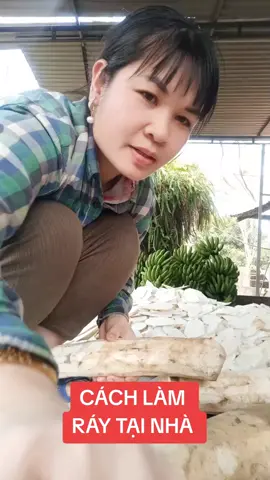 cách làm cu ray phơi khô sao vàng hạ thổ tại nhà  #bot chuối xanh  #Nguyen  #tiepthilienket  #Nguyenmai 